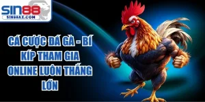 Cá Cược Đá Gà