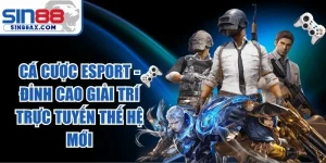Cá Cược Esport