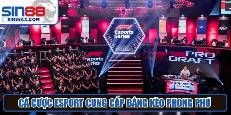 Cá cược Esport cung cấp bảng kèo phong phú và cập nhật liên tục