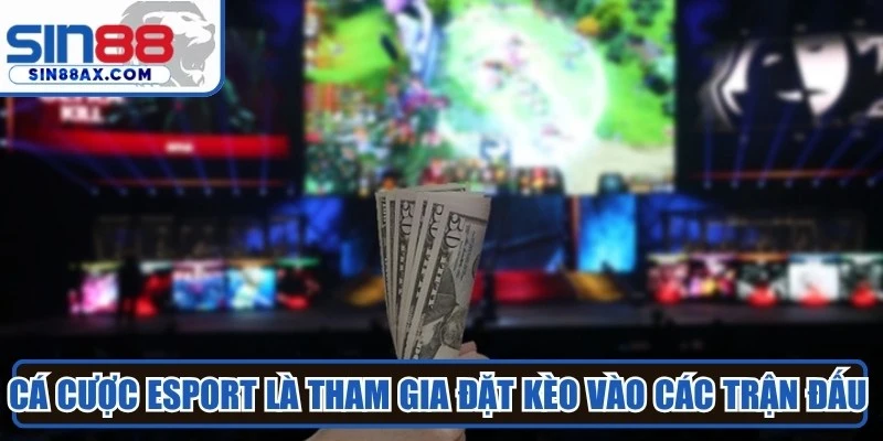 Cá cược Esport là tham gia đặt kèo vào các trận đấu thể thao điện tử