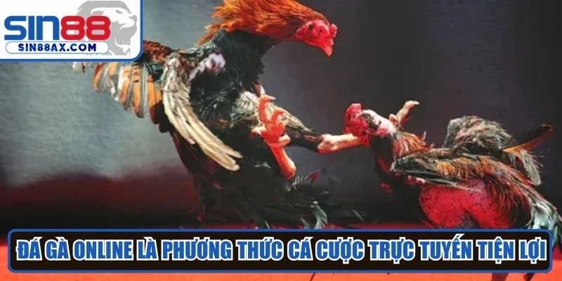 Đá gà online là phương thức cá cược trực tuyến tiện lợi, hiện đại