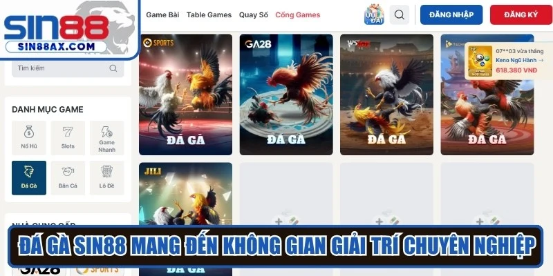 Đá gà SIN88 mang đến không gian giải trí chuyên nghiệp với nhiều tính năng