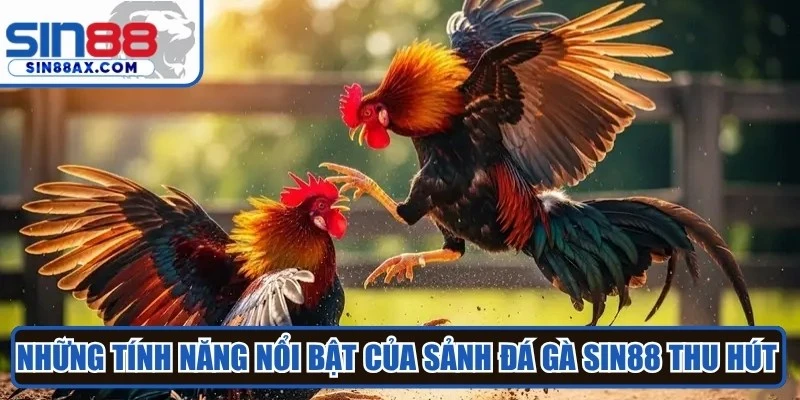 Những tính năng nổi bật của sảnh Đá gà SIN88 thu hút người chơi