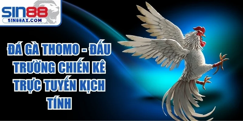 Đá Gà Thomo