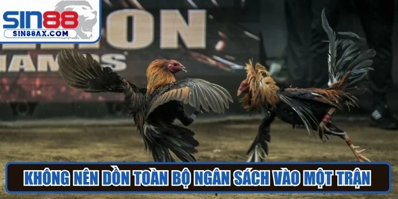 Không nên dồn toàn bộ ngân sách vào một trận duy nhất mà cần chia nhỏ hợp lý