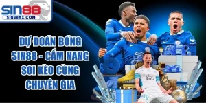 Dự Đoán Bóng