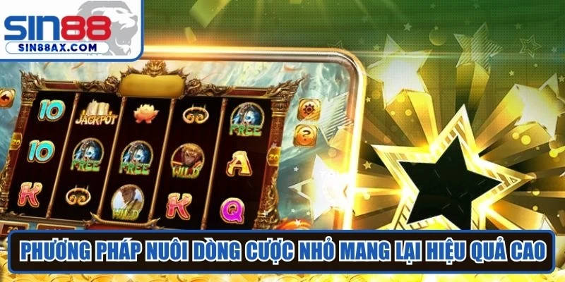 Phương pháp nuôi dòng cược nhỏ mang lại hiệu quả cao